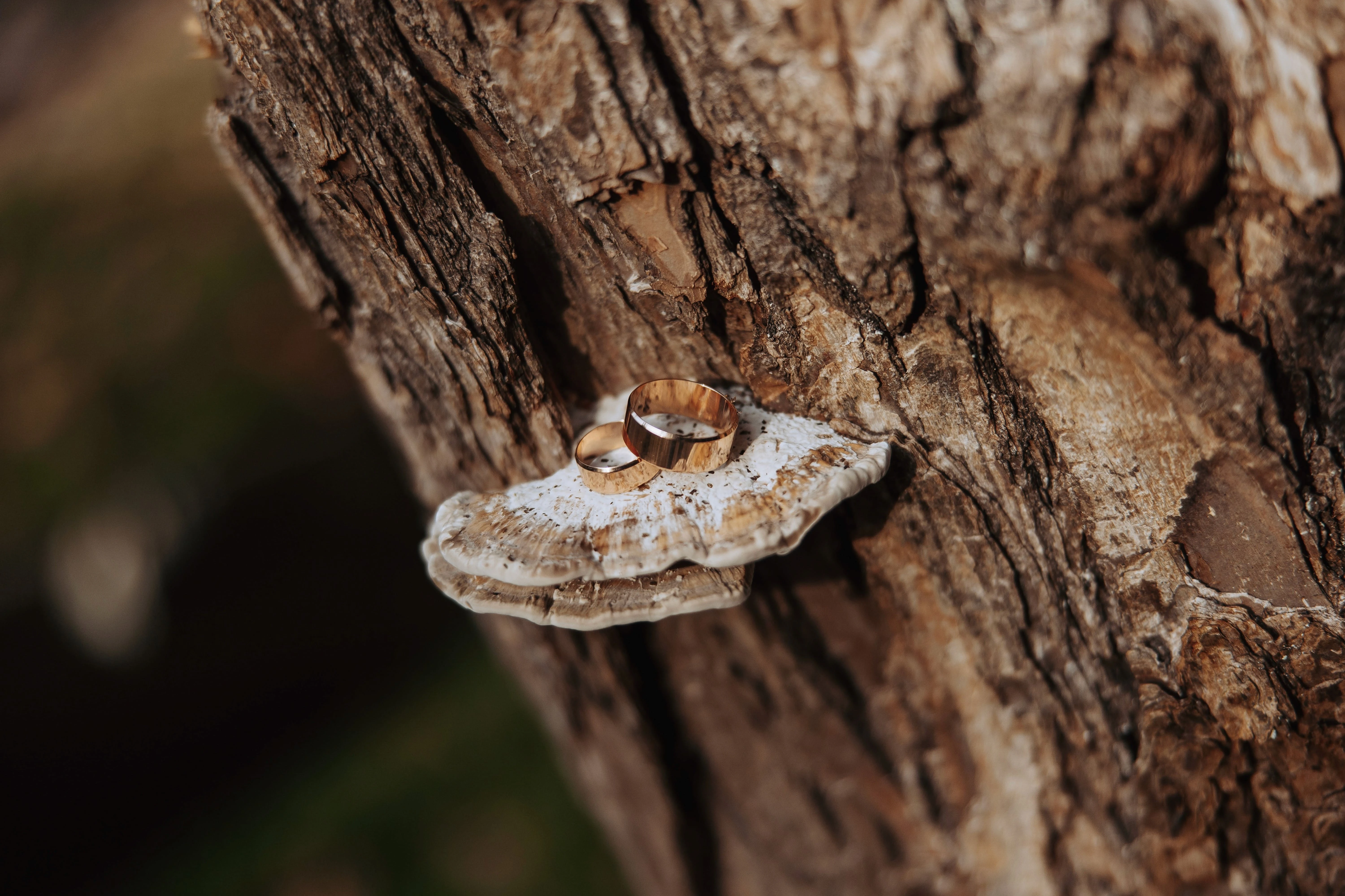 Smooth Polished Chain