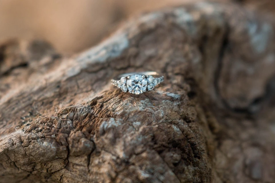 Smooth Polished Chain