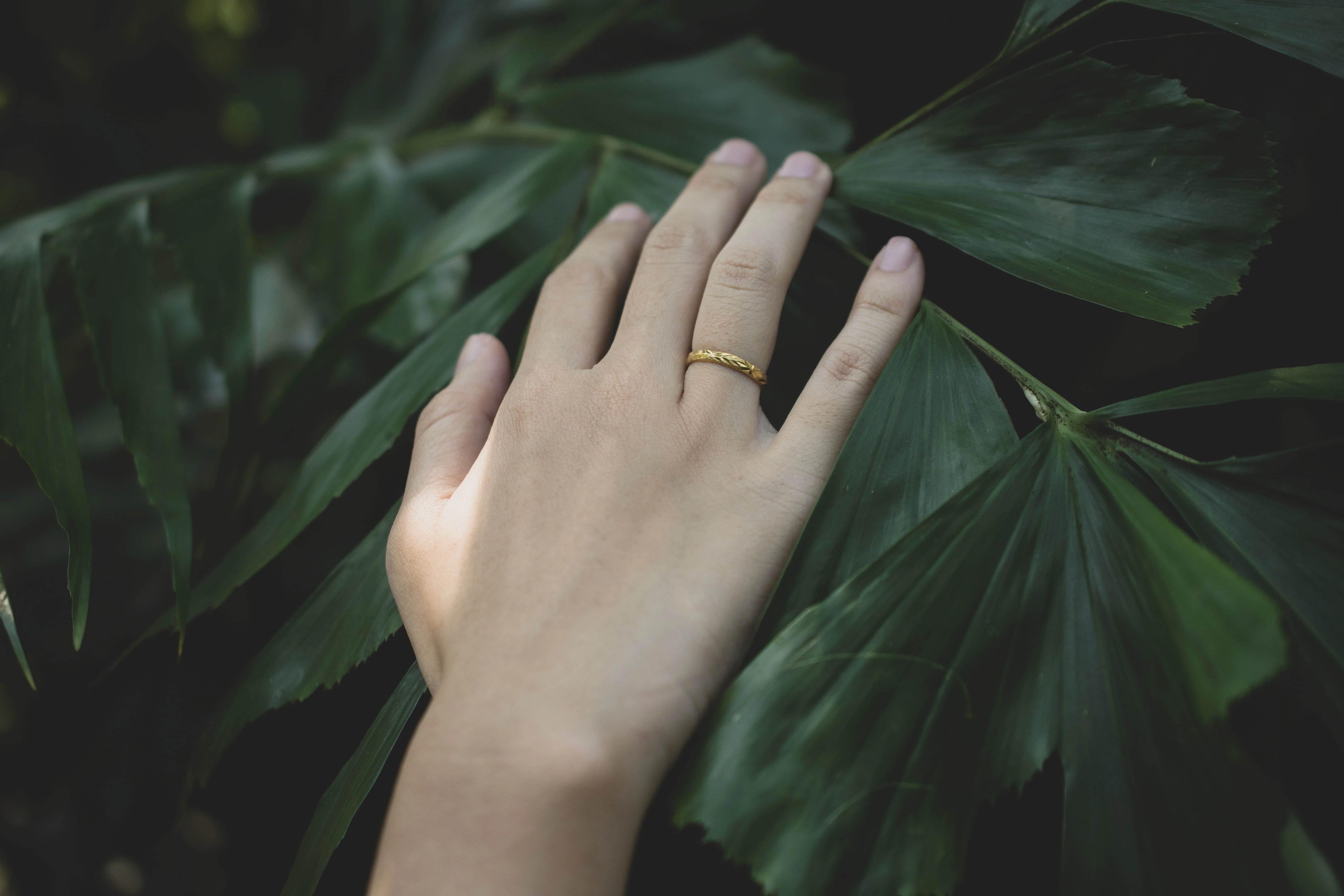 Straight-Line Chains